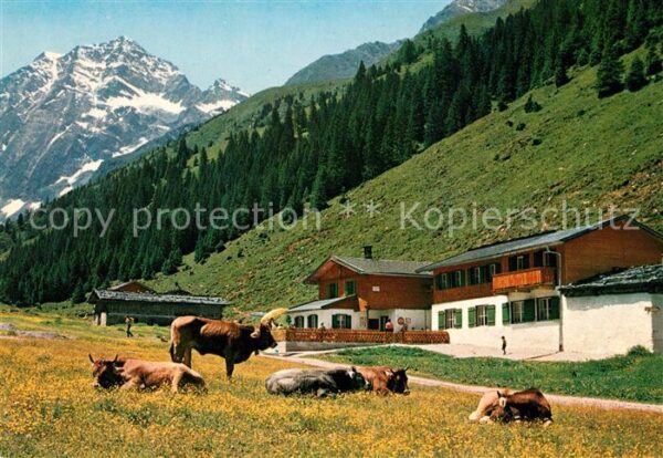 Pinnistal Pinnisalm Stubai Habicht
