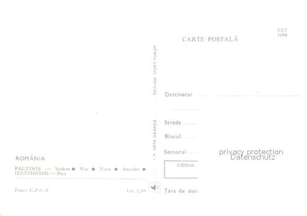 Paltinis – Bild 2