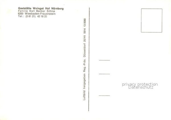 Frauenstein Wiesbaden Fliegeraufnahme – Bild 2