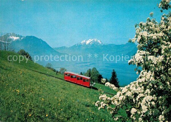 Zahnradbahn Treib-Seelisberg-Bahn Pilatus