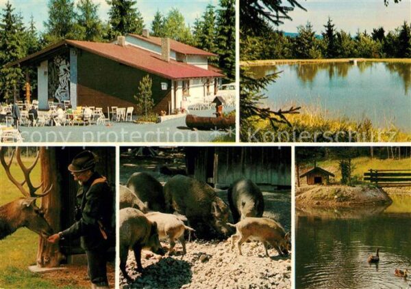 Mehlmeisel Bayreuther Haus Wildgehege Weiheranlage