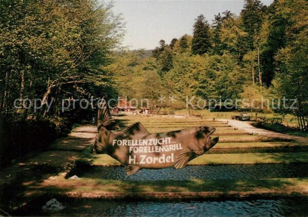 Neuenbuerg Enz Forellenzucht Angelsee