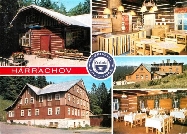 Harrachov Harrachsdorf Restaurant Hotel Lesni