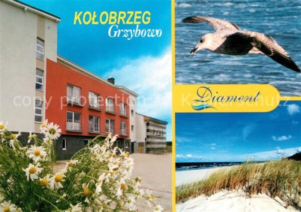 Kolobrzeg Polen Hotel Diamant Möve Strand