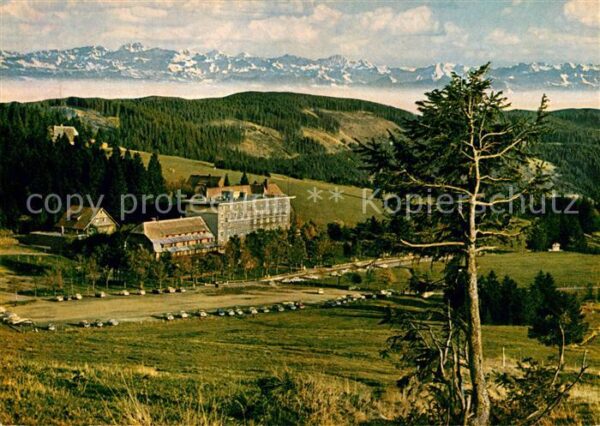 Feldberg Schwarzwald Hotel Feldbergerhof