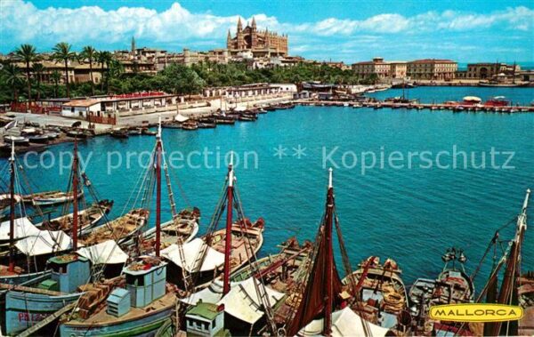 Palma de Mallorca Catedral y la Lonja