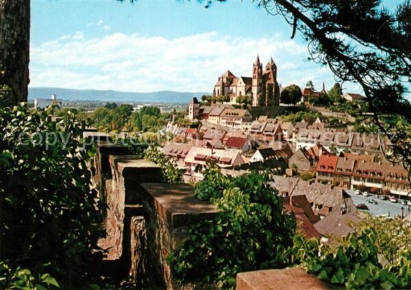 Breisach Rhein Blick vom Eckartsberg
