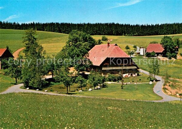 Brigach Hirzbauernhof