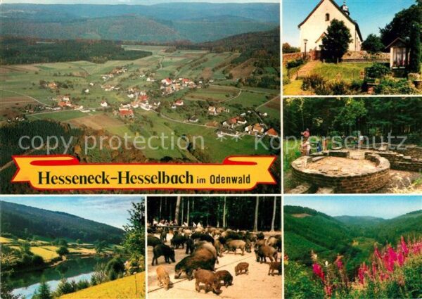 Hesselbach Odenwald Gasthaus Pension Drei Lilien Wildpark F