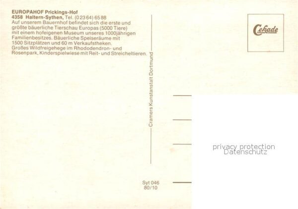 Sythen Fliegeraufnahme Europahof Prickings-Hof – Bild 2