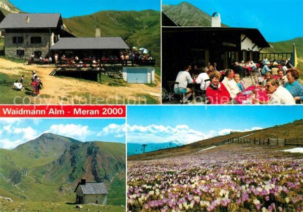 Meran Merano Waidmann Alm