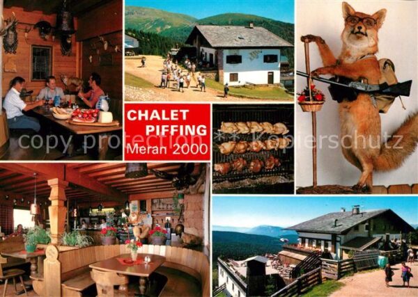 Meran Merano Chalet Piffing Meran 2000