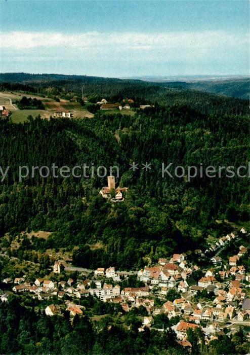 Bad Liebenzell Burg Liebenzell Unterlengenhardt Fliege
