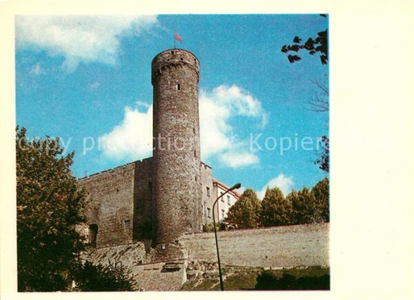 Tallinn Castrum Danorum Burg Tallinn