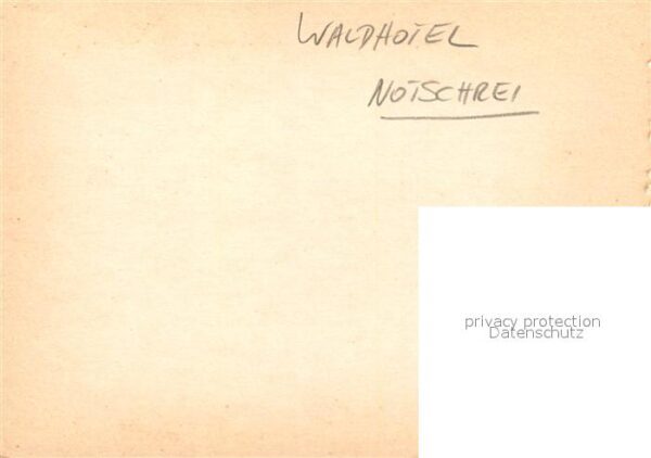 Notschrei Waldhotel – Bild 2