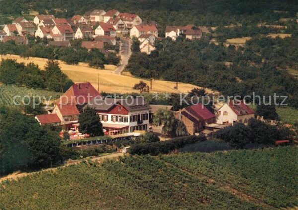 Frauenstein Wiesbaden Fliegeraufnahme Gaststätte Weingut Hof