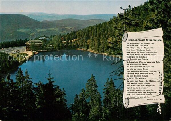 Mummelsee Berghotel