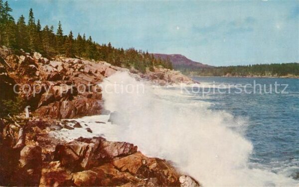 Maine Surf Along Ocean Drive Acadia National