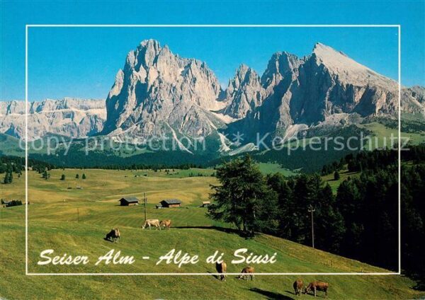 Seiser Alm Dolomiten Langkofelgruppe