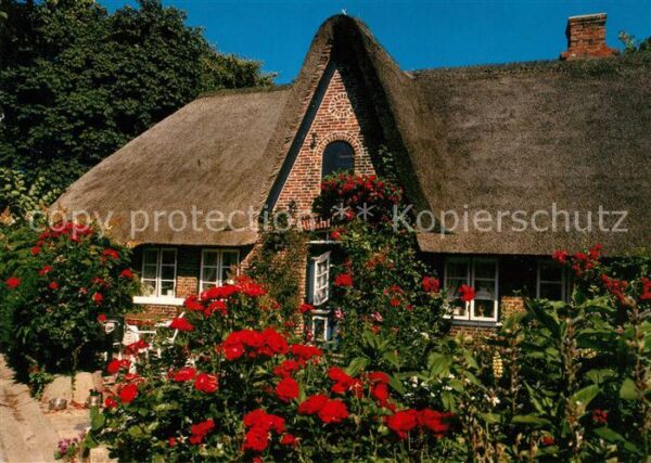 Sylt Friesenhaus