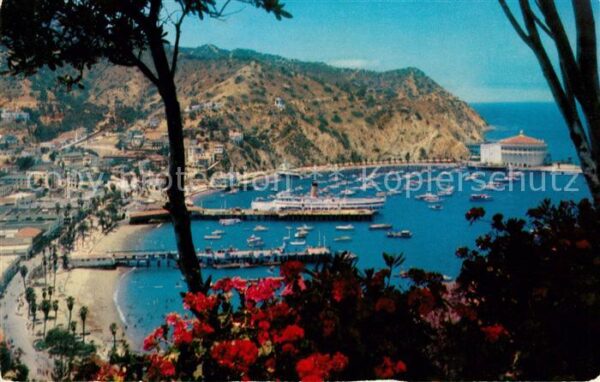 Avalon California Panorama Harbor and Coast