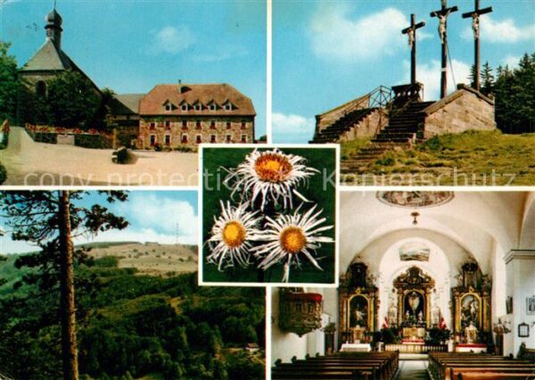Kreuzberg Rhoen Franziskanerkloster Inneres Kirche Golg