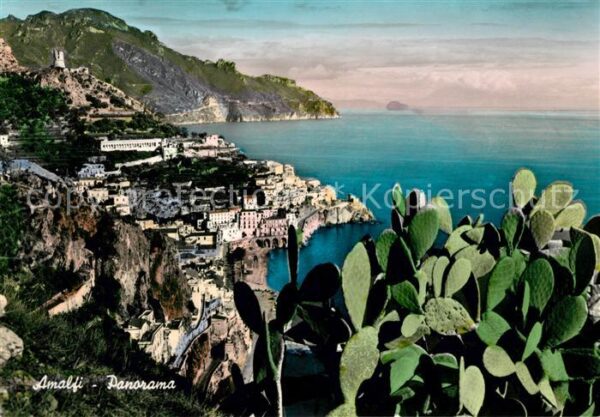 Amalfi Panorama Küste Kaktus