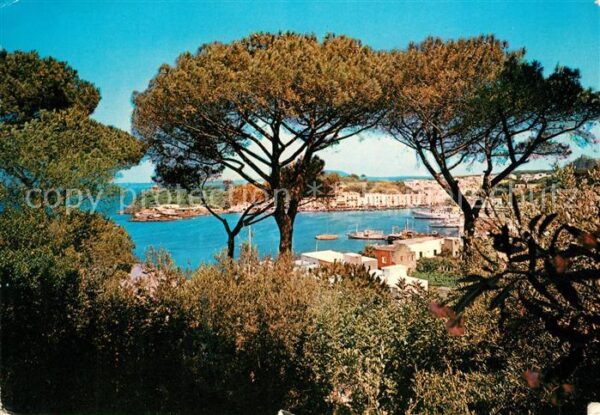 Ischia Il Porto Hafen