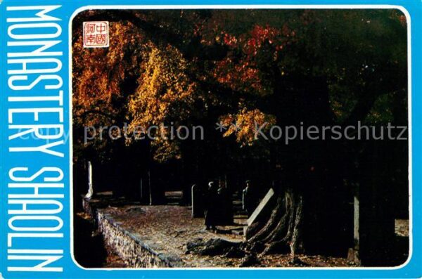 Dengfeng Monastery Shaolin Forest of Stele Klost