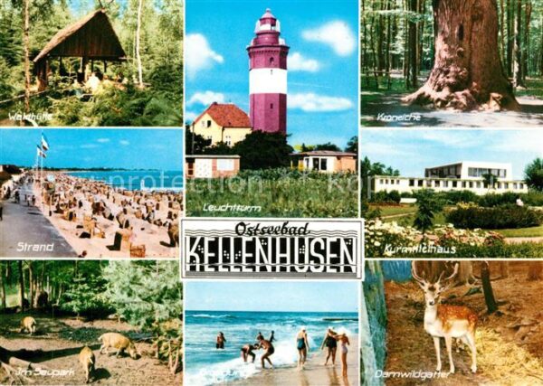 Kellenhusen Ostseebad Waldhütte Strand Tierpark Sauen Darmwil