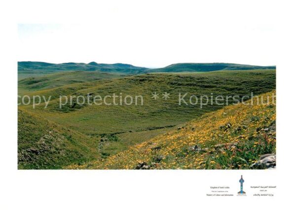 Riyadh Springtime at Rowdah Nourah Landschafts