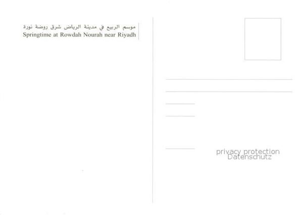 Riyadh Springtime at Rowdah Nourah Landschafts – Bild 2