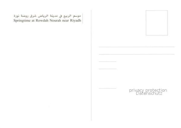 Riyadh Springtime at Rowdah Nourah Landschafts – Bild 2
