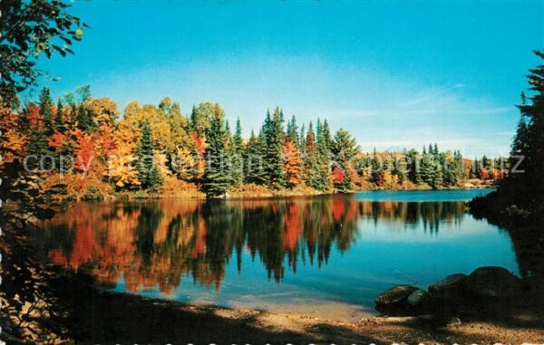 Ontario Canada Harrison Holiday Haven Nipissing