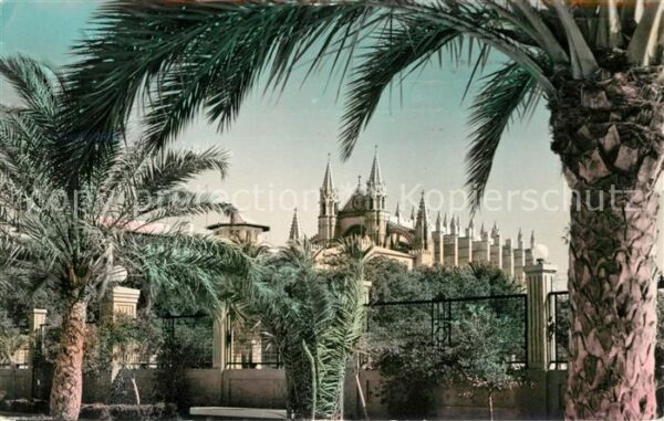 Mallorca Cathedrale Paseo de Sagrera