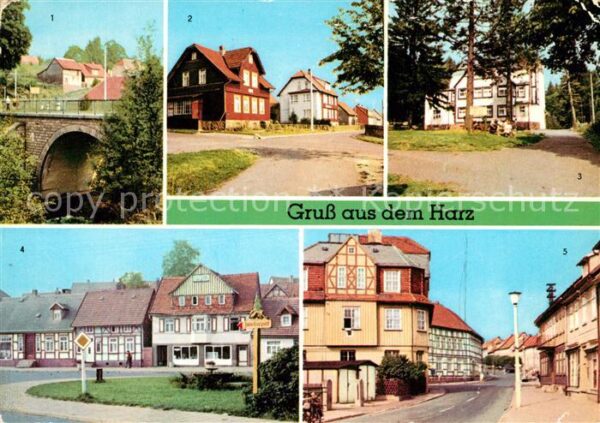 Harz Region Tanne Brücke Ferienheim Waldheim Edelwe
