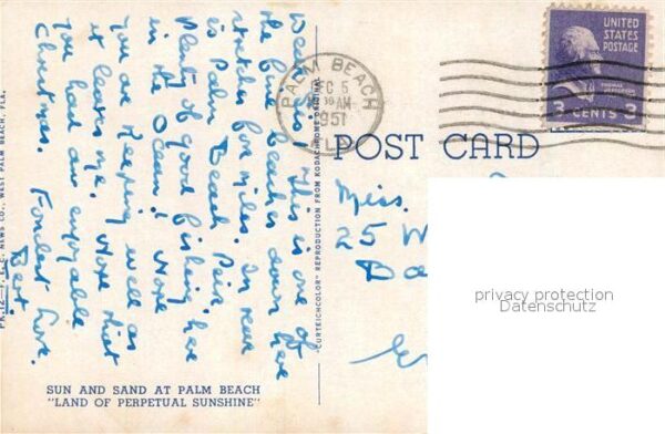 Palm Beach Strand – Bild 2