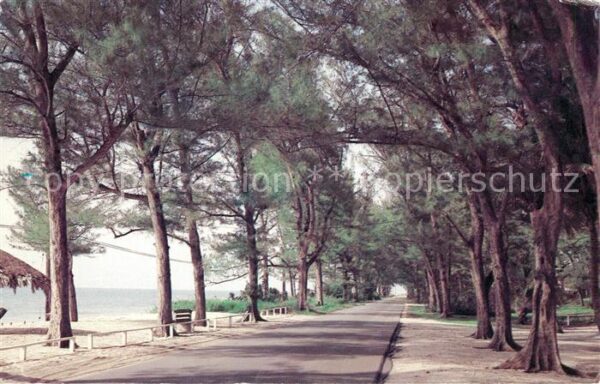 Captiva Shady Gulf Drive