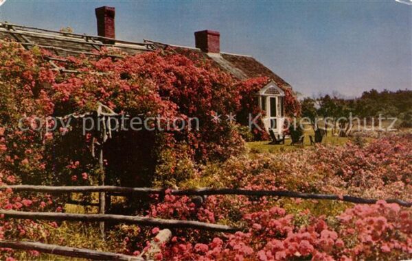 Chatham Massachusetts Famous Rose Cottage