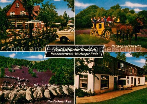 Undeloh Waldschänke Heidepostkutsche Heidschnuc