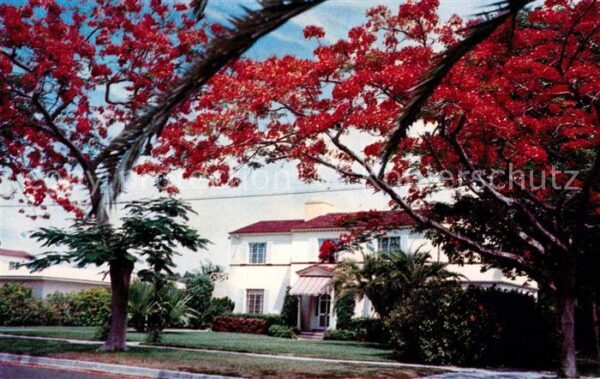 Florida Keys Royal Poinciana