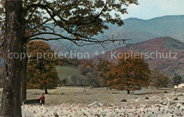 Circleville West Virginia Spruce Knob