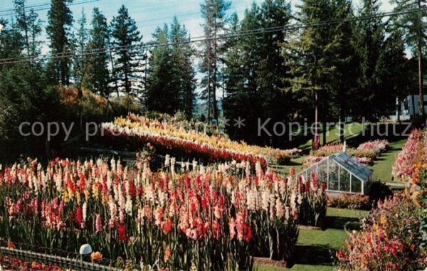 British Columbia Kimerley Cominco Garden
