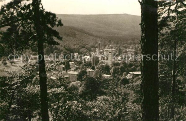Dubi Panorama