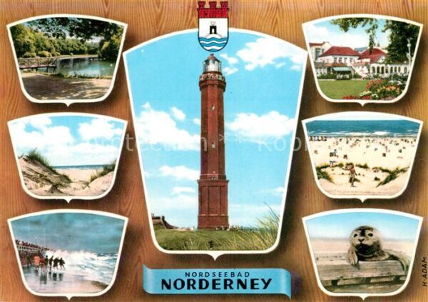 Norderney Nordseebad Strand Br&#252cke D&#252nen Seehund Aus