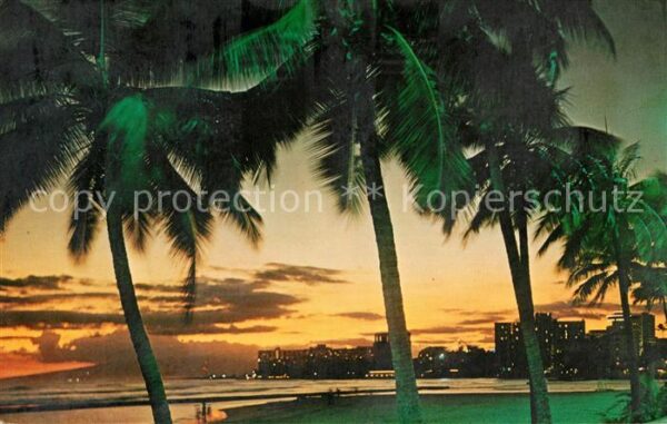 Waikiki Beach palmtrees sunset