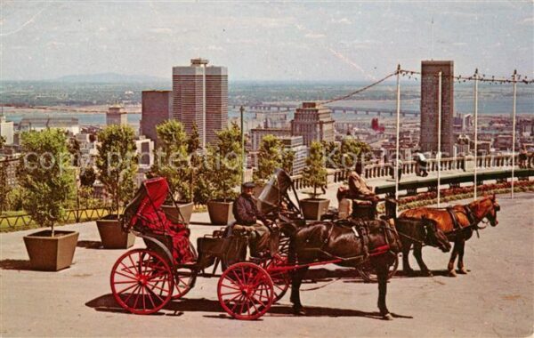 Montreal Quebec Old French Horsedrawn Carriages on Moun