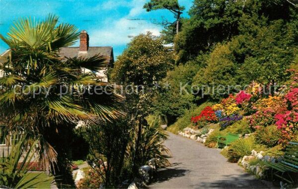 Exmouth Town Madeira Walk Palmtrees Flowers