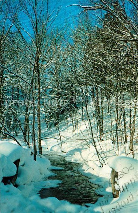 Janetville Landschaftspanorama im Winter Bachlauf