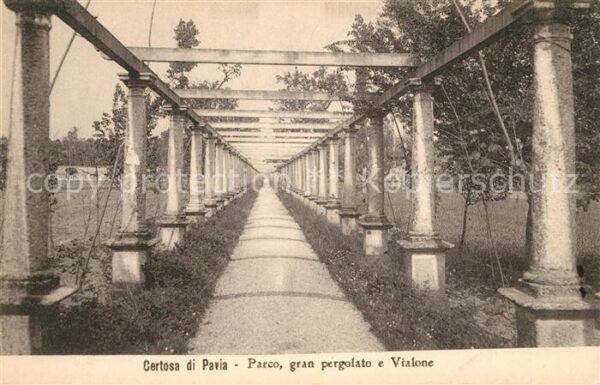 Certosa di Pavia Parco gran pergolato e Vialone Park Klo